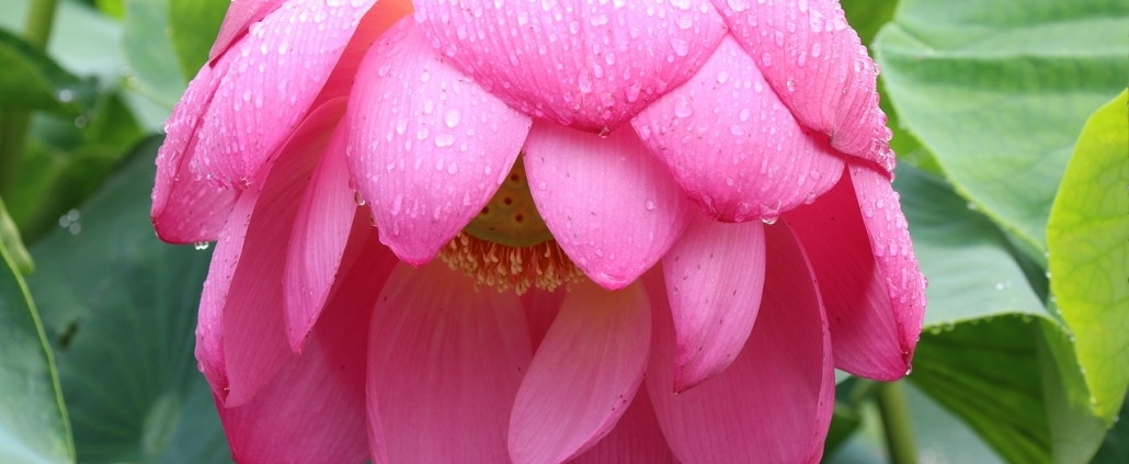 Articles Bereavement Counselling Tunbridge Wells