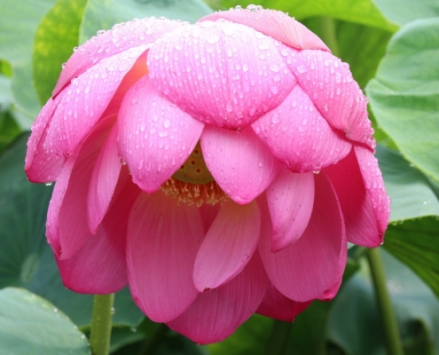 Articles Bereavement Counselling Tunbridge Wells