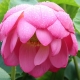 Articles Bereavement Counselling Tunbridge Wells